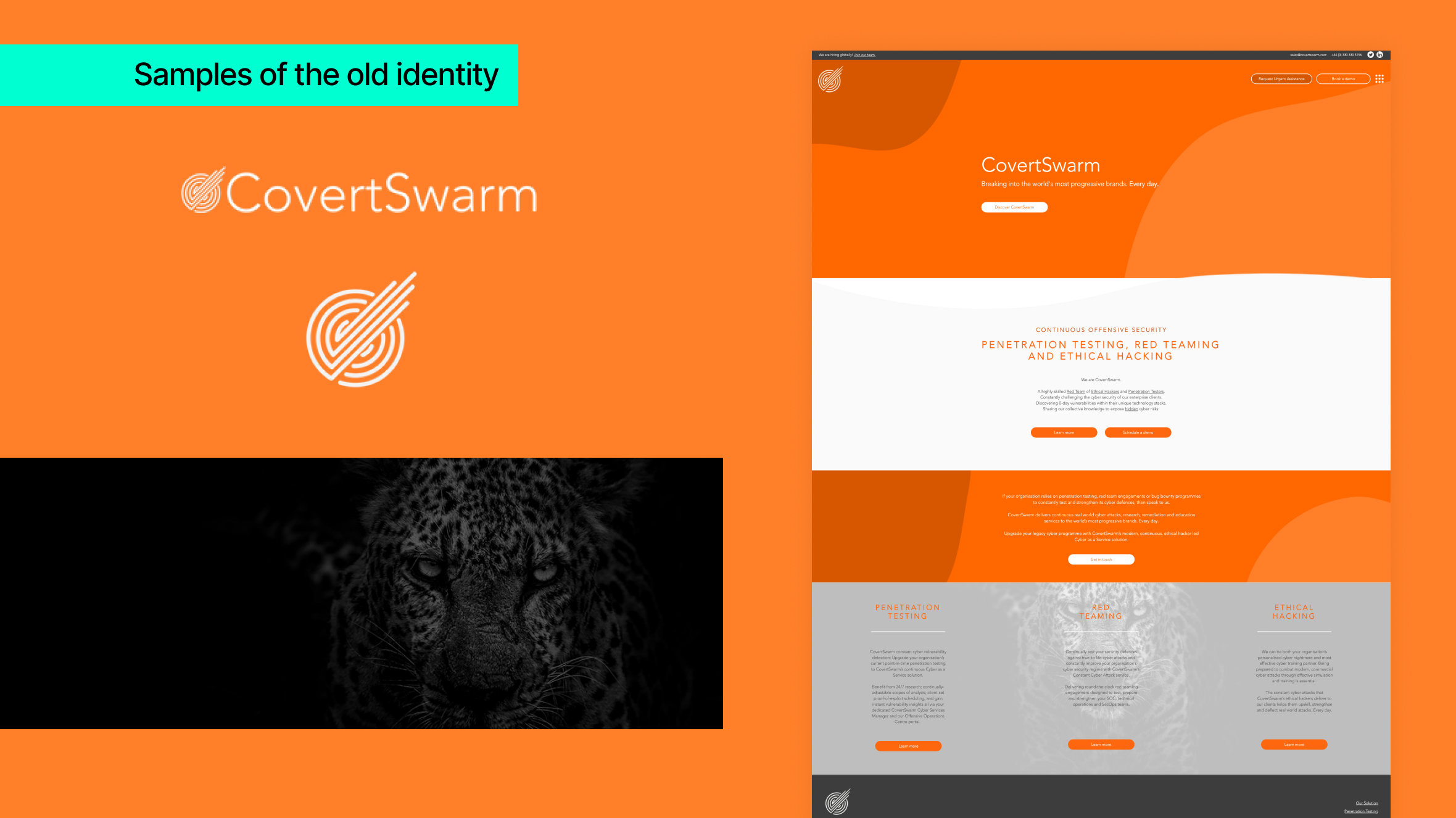 CovertSwarm old identity